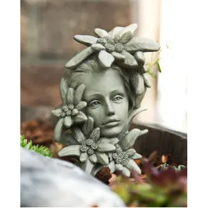 Blumenkind Edelweiss