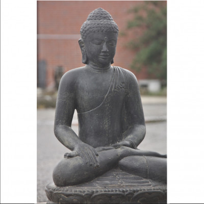 Buddha Earth