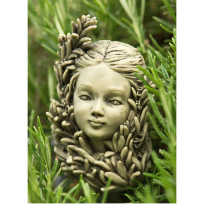 Blumenkind Rosmarin