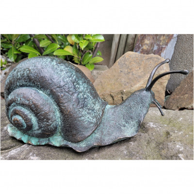 Schnecke