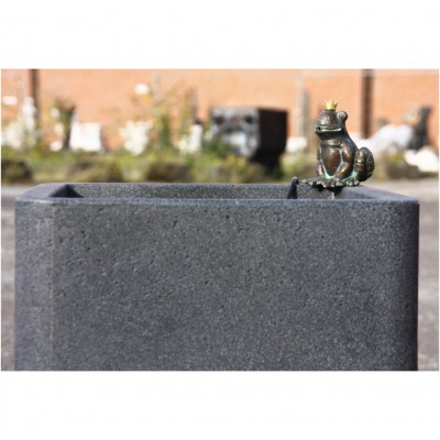 Frosch Brunnen