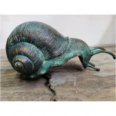 Kantenhocker Schnecke