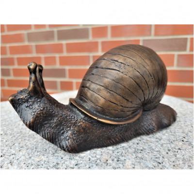 Schnecke