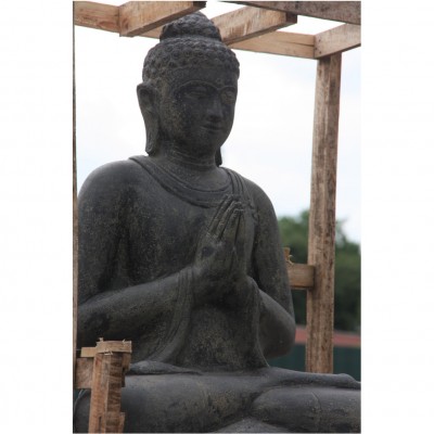 Buddha 100 H