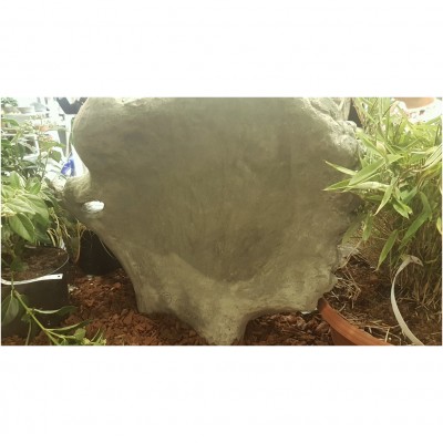 Buddha Kopf
