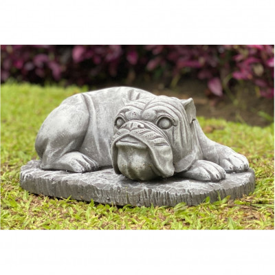 Bulldogge