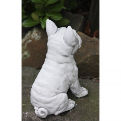Bulldogge