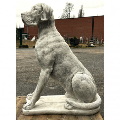 Dogge 104 H
