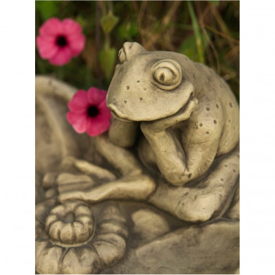 Tränke Frosch
