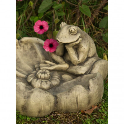 Tränke Frosch
