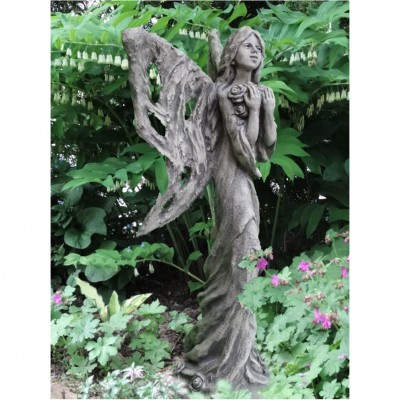 Engel Wild Rose