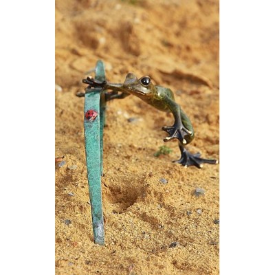 Frosch und Marienkäfer