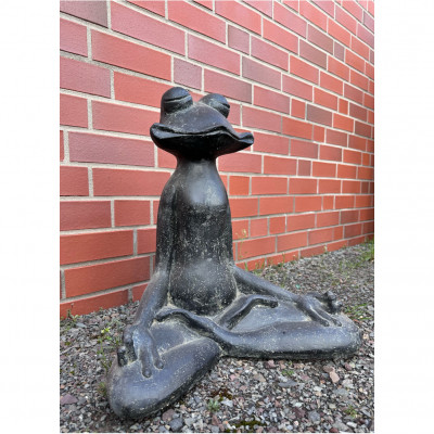 Frosch Meditation