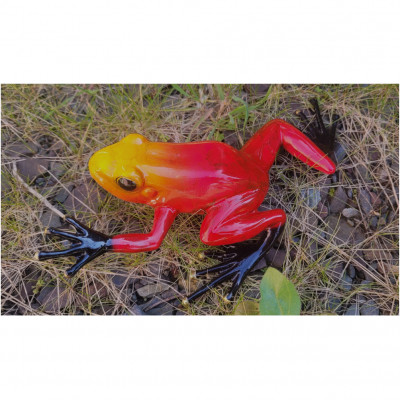 Bronze Frosch