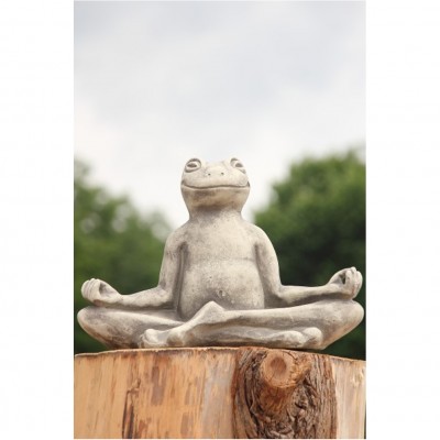 Yoga Frosch