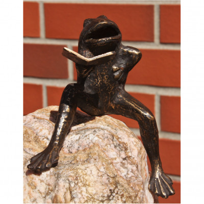 Frosch mit Noten
