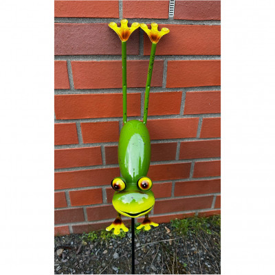 Yoga Frosch