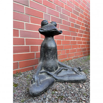 Frosch Meditation