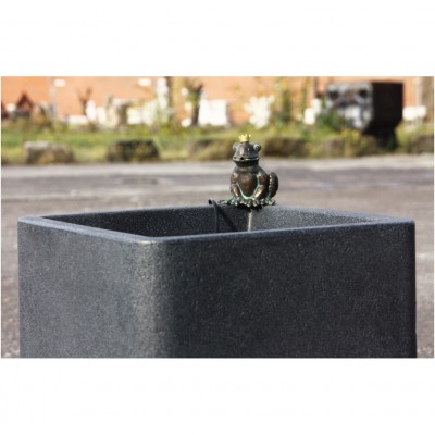 Frosch Brunnen