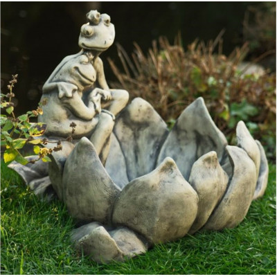 Tränke Froschliebe