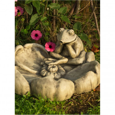 Tränke Frosch