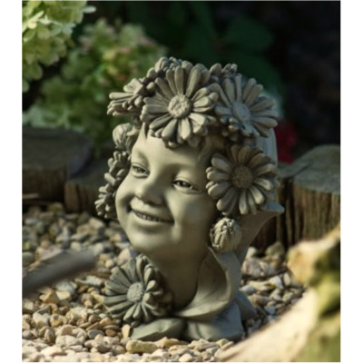 Gänseblümchen