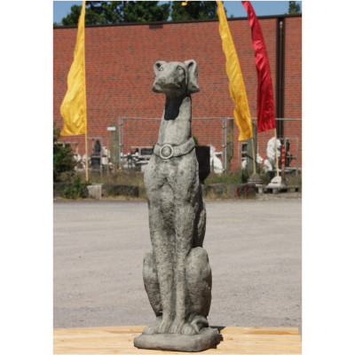 Windhund