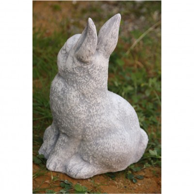 Hase