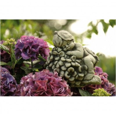 Hortensie