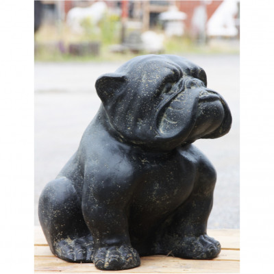 Bulldogge