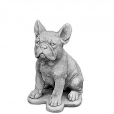 Bulldogge