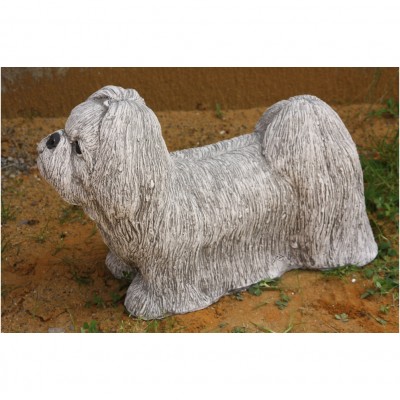Shih-Tsu