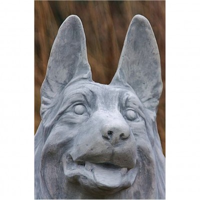 Schäferhund
