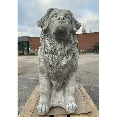 Berner Sennenhund