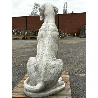 Dogge 104 H