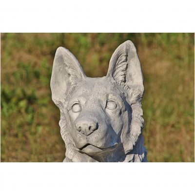 Schäferhund