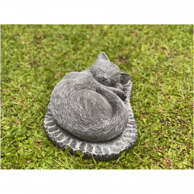 Katze liegend
