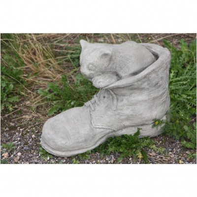 Katze im Schuh