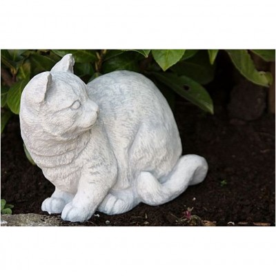 Katze