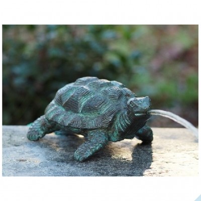 Schildkröte