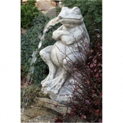 Wasserspeier Frosch