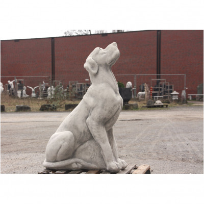 Labrador 100 H