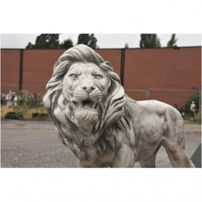 Löwe 110 cm