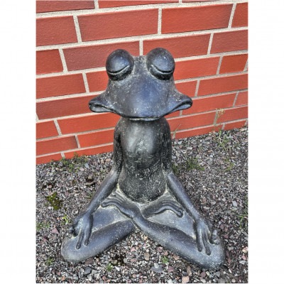 Frosch Meditation