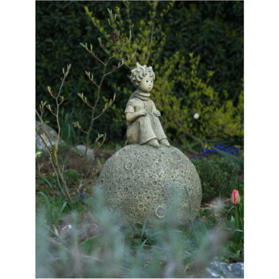 Prinz auf dem Mond