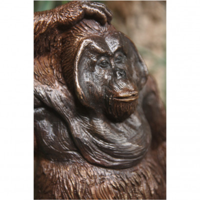 Bronze Orang Utan