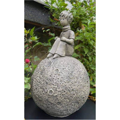 Prinz auf dem Mond