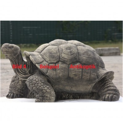 Schildkröte gross
