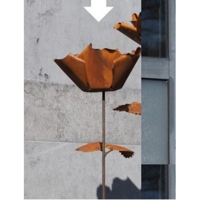 Edelrost Rose