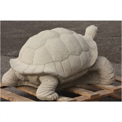 Schildkröte gross